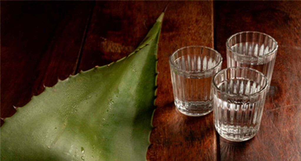 Guía para Reconocer un Tequila Plata en 5 Pasos
